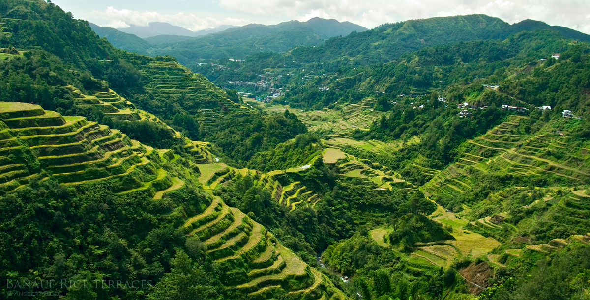 The 2000-year-old Ifugao rice terraces - a true staircase to heaven