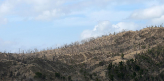 Batangas prepares for evacuation as Alert Level 2 raised in Taal Volcano