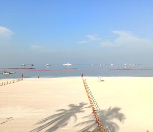'Dolomite beach' not included in 2022 Manila Bay rehab budget-DENR