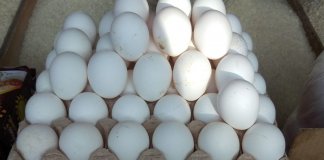 Some traders reduced production of eggs, meat due to ECQ, imports