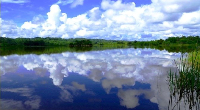 A Mirror Image of Lake 77 near Bislig City, on the island of Mindanao, Philippines