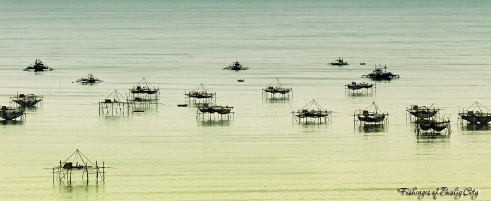 Fish Cages in the Bay of Bislig - a Stunning Image by Jojie Alcantara of Davao City