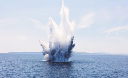 Marine documentary makers stumble across illegal dynamite ...