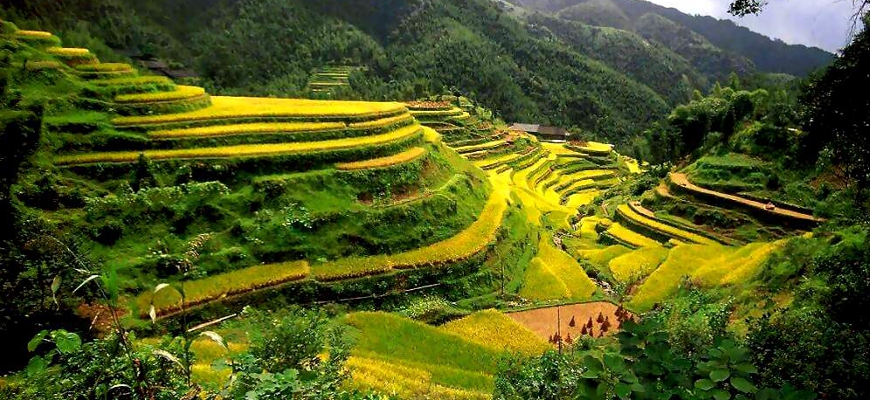 The 2000-year-old Ifugao rice terraces - a true staircase to heaven